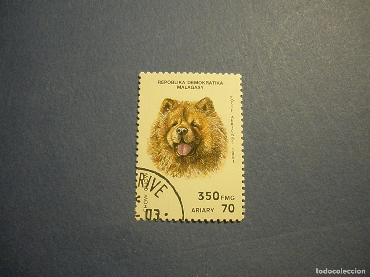 Sellos: MADAGASCAR - PERROS DE RAZA - CHOW CHOW. - Foto 1