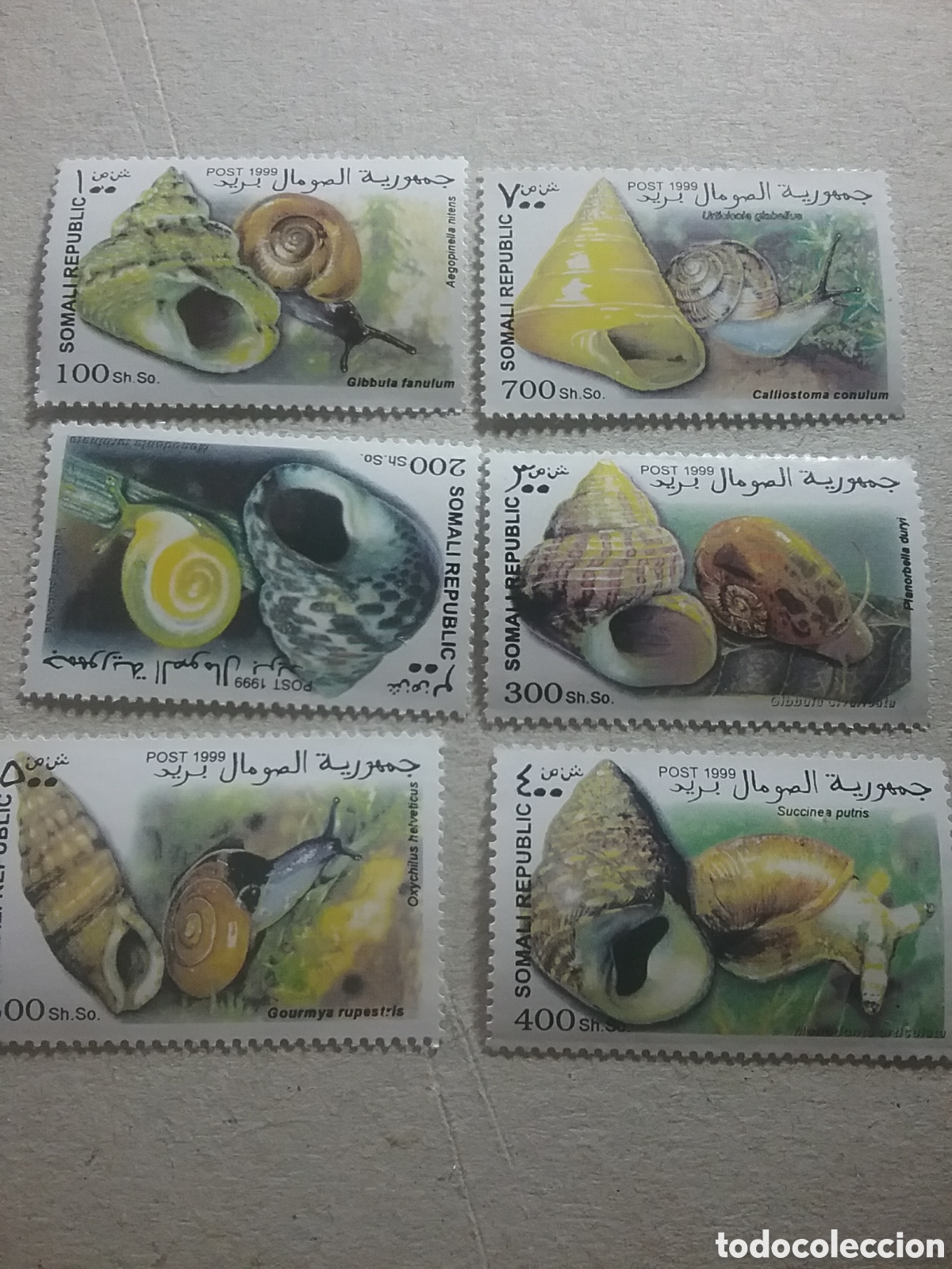Selos: Sello Somalia (S. Republica) nuevo 1999. Moluscos. Conchas. Caracoles. Caracola. Fauna. Babosa. Natu