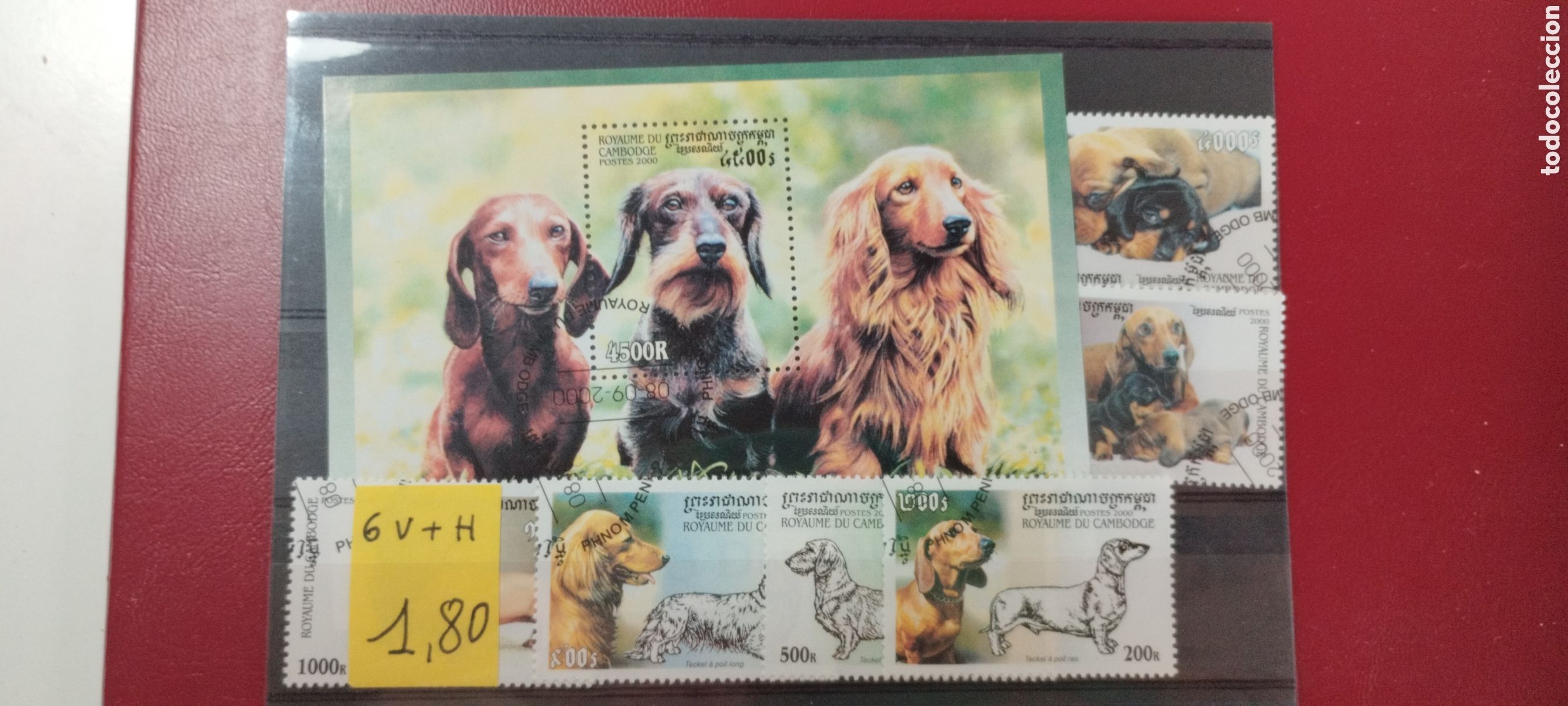 Sellos: Sellos Cambodja Perros a&ntilde;o 2000 - Foto 1