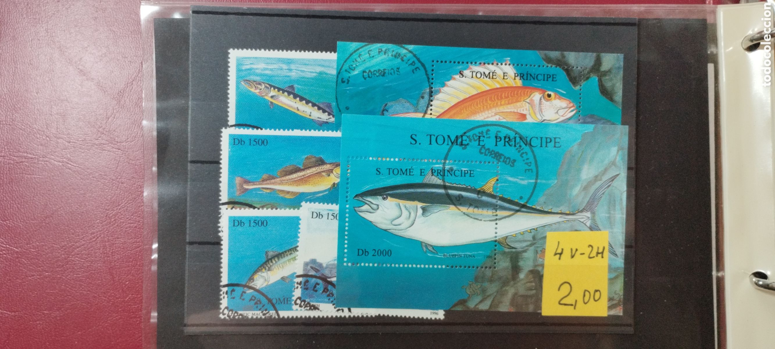 Sellos: Sellos S.Tom&eacute; e Pr&iacute;ncipe Tiburones 2000 - Foto 1