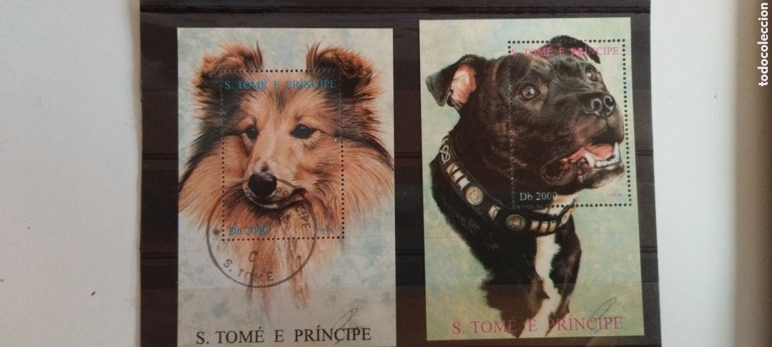 Sellos: Sellos St Tom&eacute; e Pr&iacute;ncipe Perros - Foto 1