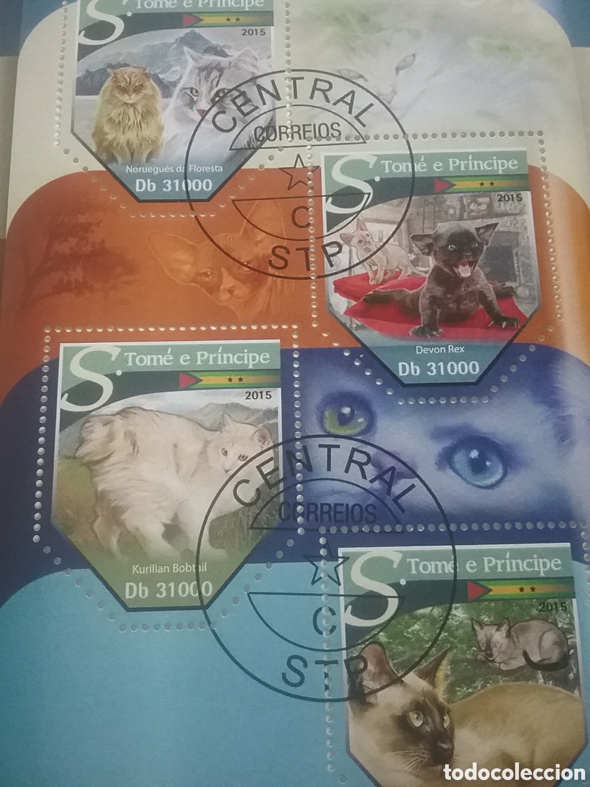 Sellos: HB S. Tome Pr&iacute;ncipe mtda 2015. Gatos. Animales dom&eacute;sticos mamiferos. Felino. Noruego. Turco.