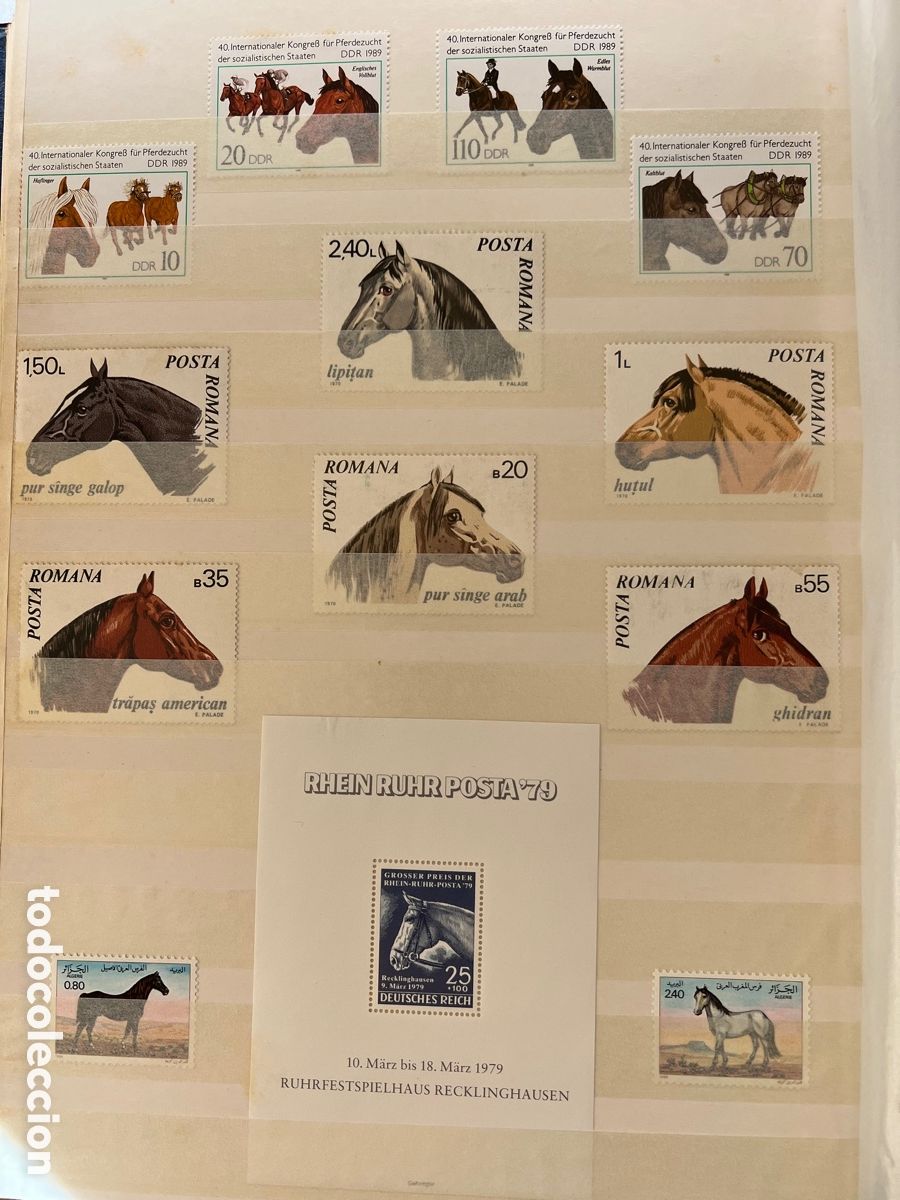 Sellos: Colecci&oacute;n filat&eacute;lica de Caballos - Foto 7
