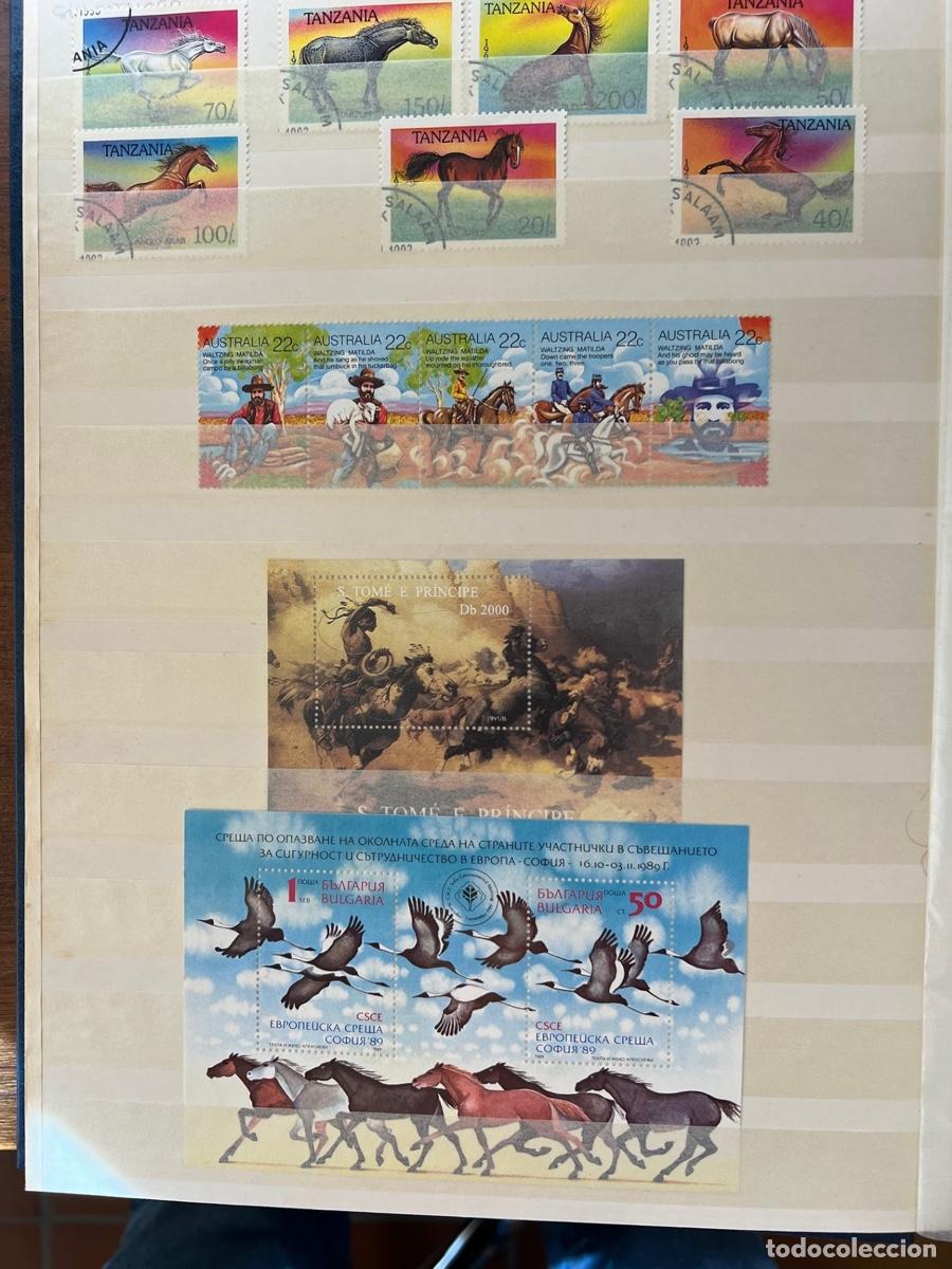 Sellos: Colecci&oacute;n filat&eacute;lica de Caballos - Foto 9