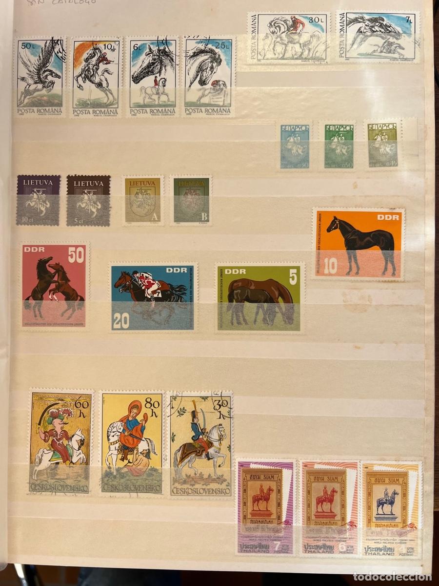 Sellos: Colecci&oacute;n filat&eacute;lica de Caballos - Foto 10