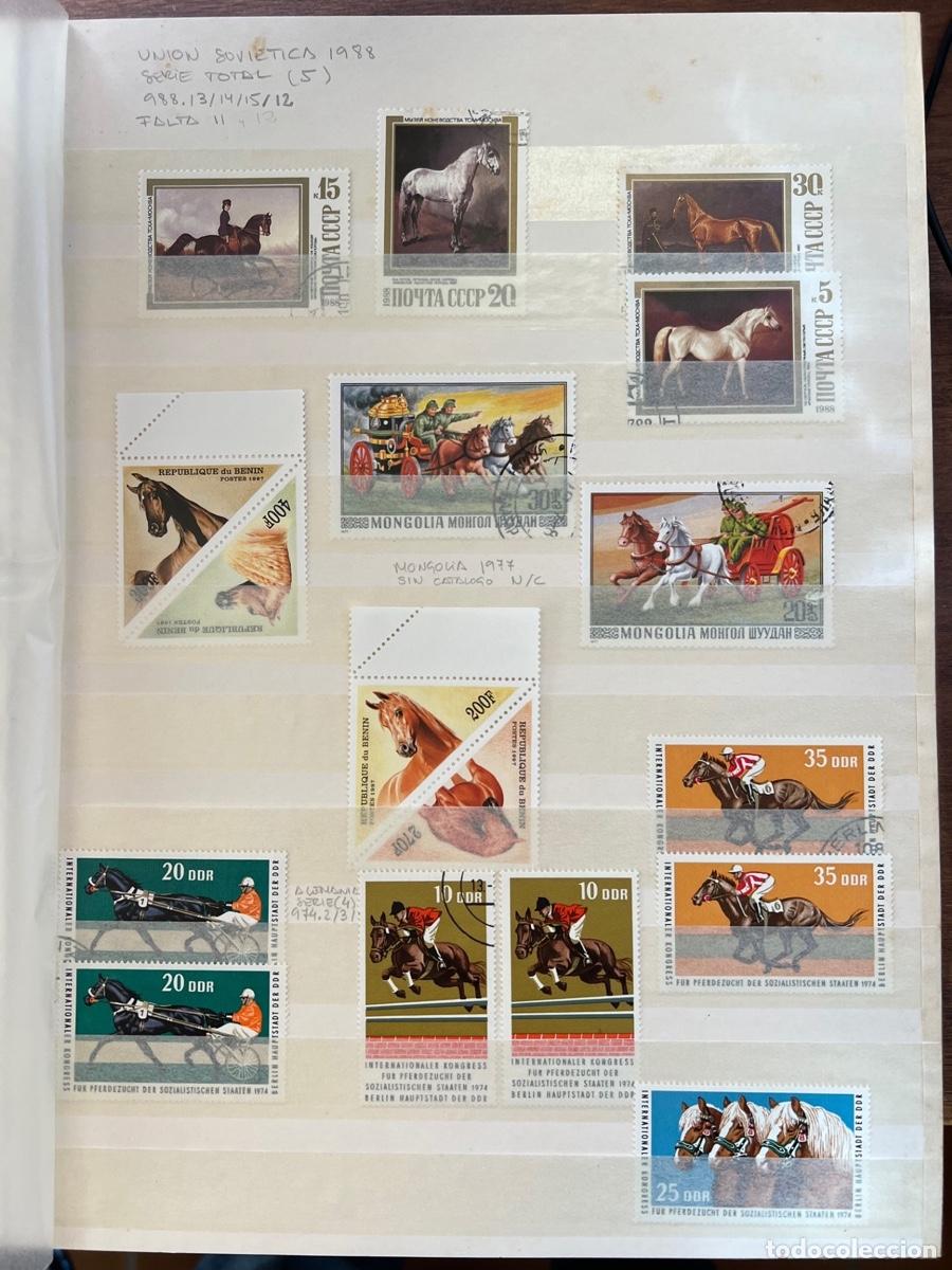 Sellos: Colecci&oacute;n filat&eacute;lica de Caballos - Foto 11