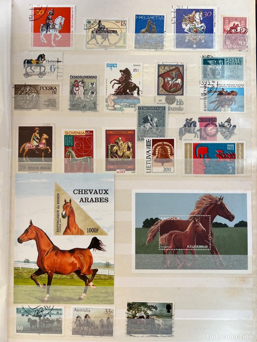 Sellos: Colecci&oacute;n filat&eacute;lica de Caballos - Foto 12