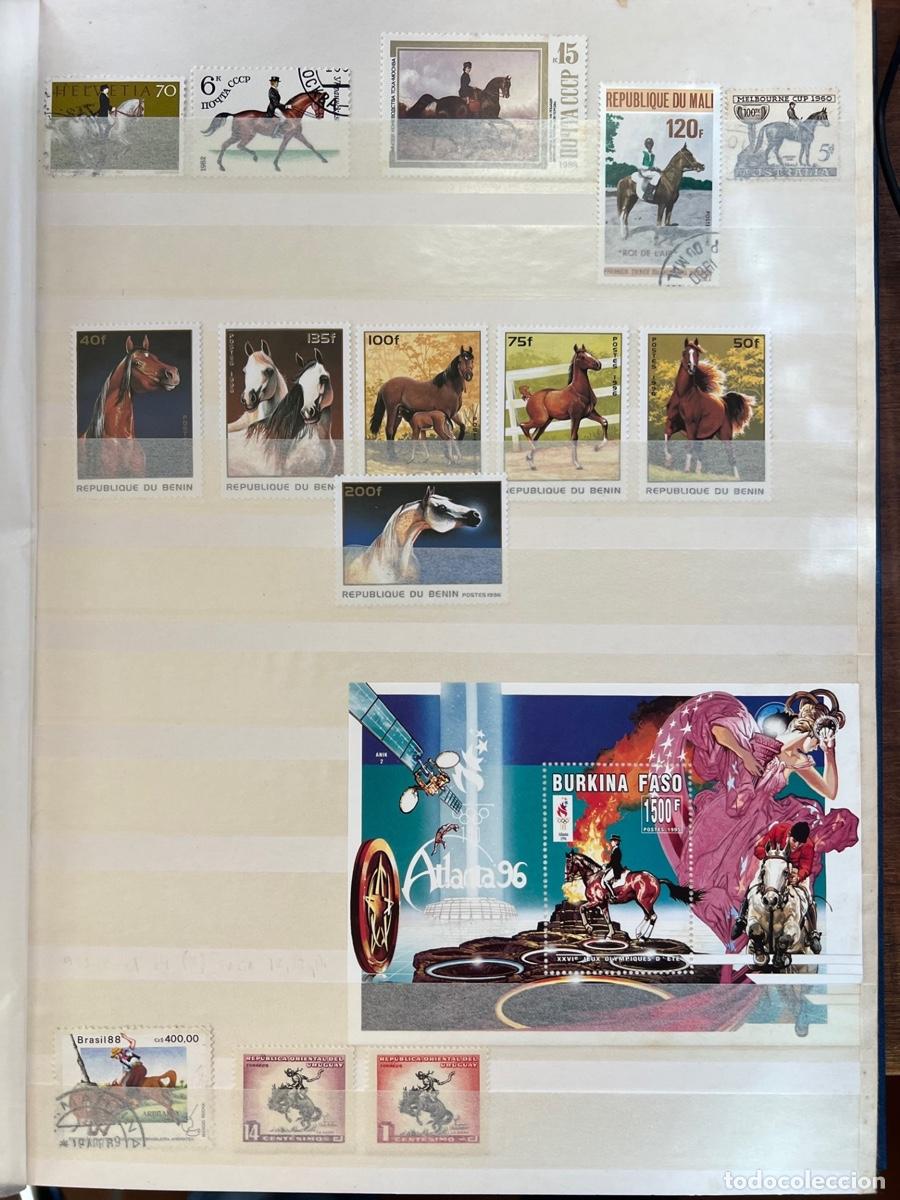 Sellos: Colecci&oacute;n filat&eacute;lica de Caballos - Foto 13