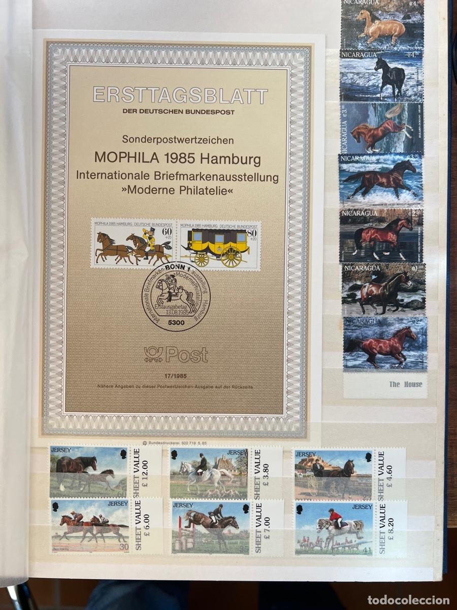 Sellos: Colecci&oacute;n filat&eacute;lica de Caballos - Foto 14