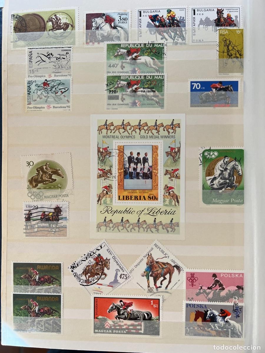Sellos: Colecci&oacute;n filat&eacute;lica de Caballos - Foto 15