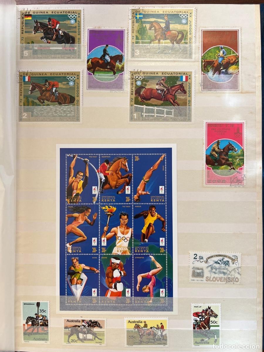 Sellos: Colecci&oacute;n filat&eacute;lica de Caballos - Foto 16