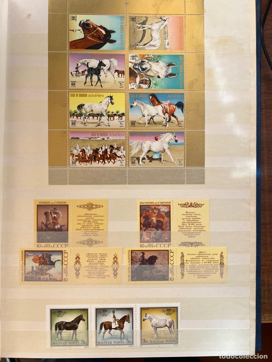Sellos: Colecci&oacute;n filat&eacute;lica de Caballos - Foto 17