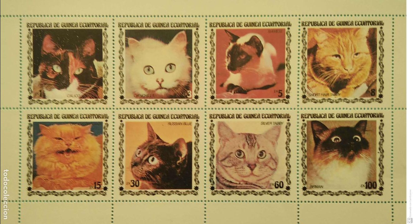 Sellos: Guinea Ecuatorial. 129 Gatos de raza ( 8 Valores). 1979. Sellos nuevos y numeraci&oacute;n Yvert.