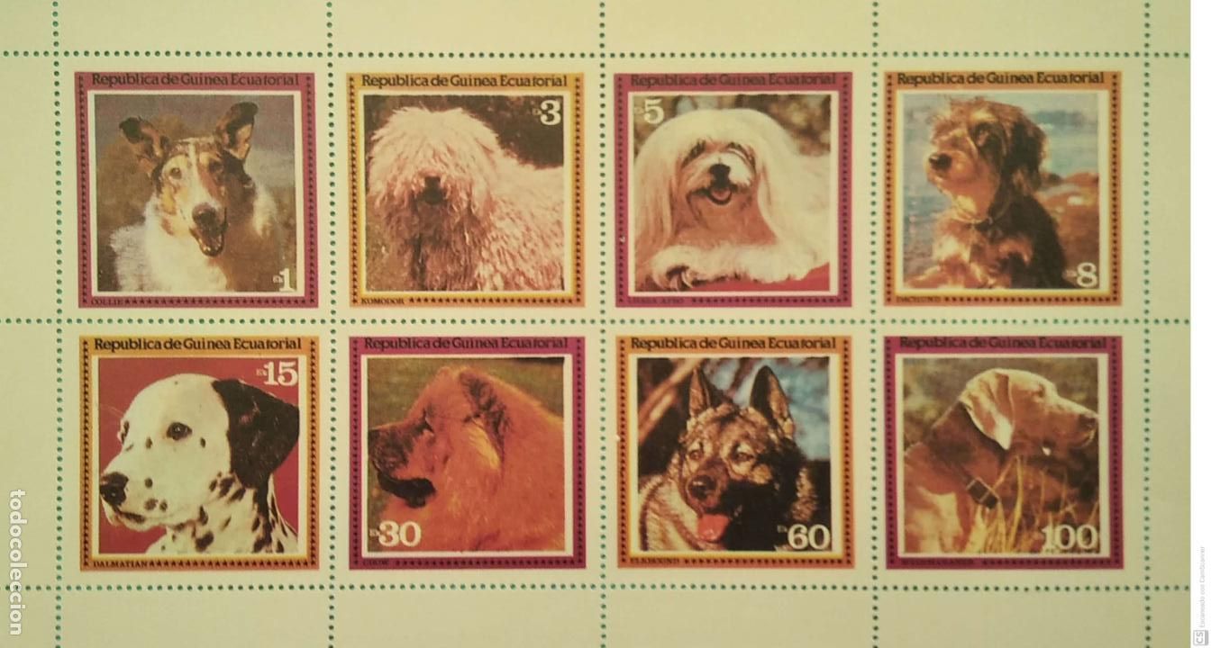 Sellos: Guinea Ecuatorial. 127 Perros de raza ( 8 Valores). 1979. Sellos nuevos y numeraci&oacute;n Yvert.