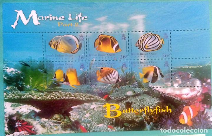 Sellos: Territorio Brit&aacute;nico Oce&aacute;no &Iacute;ndico. 356/61 Fauna Marina (II) - Peces mariposas: Chaetodon, chaetodon