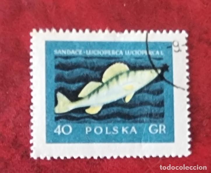 Sellos: SELLO USADO POLONIA PECES - Foto 1