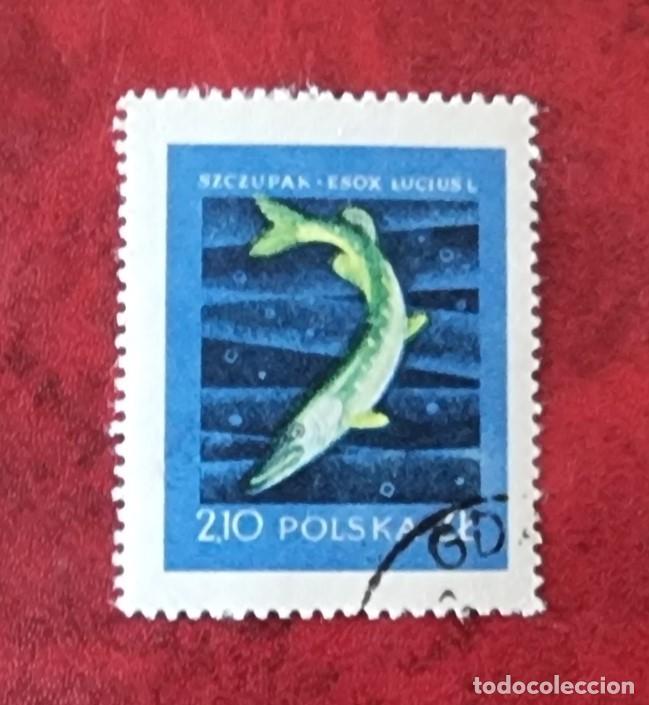 Sellos: SELLO USADO POLONIA PECES - Foto 1