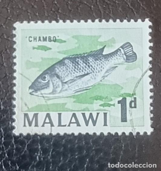 Sellos: SELLO USADO MALAWI - PECES, CHAMBO - Foto 1