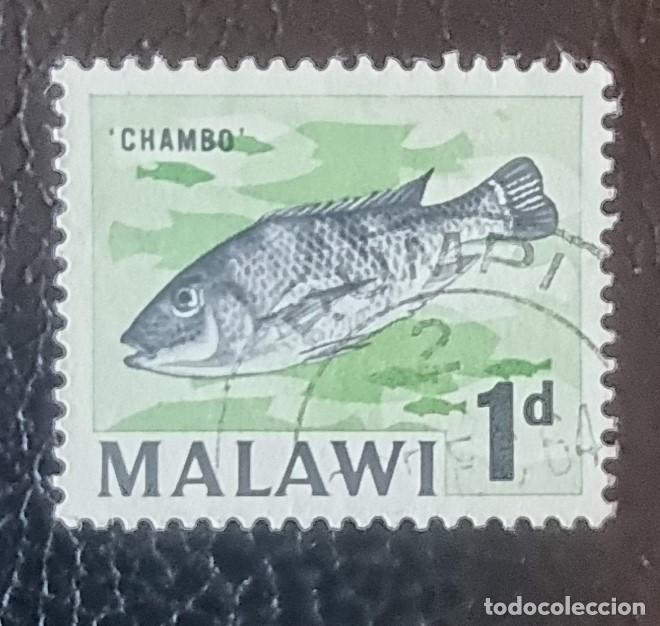 Sellos: SELLO USADO MALAWI - PECES, CHAMBO - Foto 1