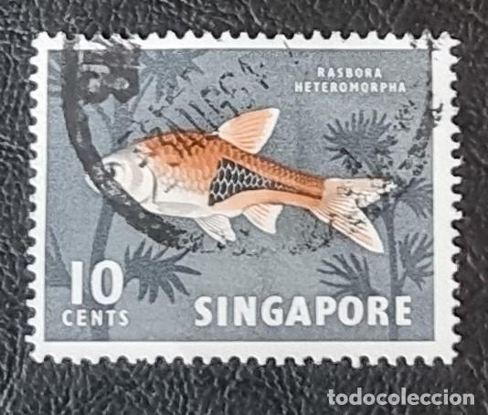 Sellos: SELLO USADO SINGAPUR PECES - Foto 1