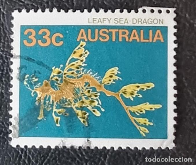 Sellos: SELLO USADO AUSTRALIA PECES, PEZ - Foto 1