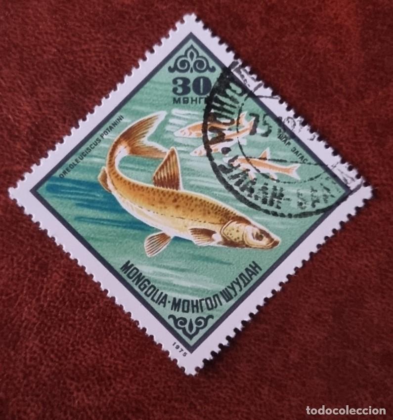 Sellos: SELLO USADO MONGOLIA 1975 . PECES - Foto 1