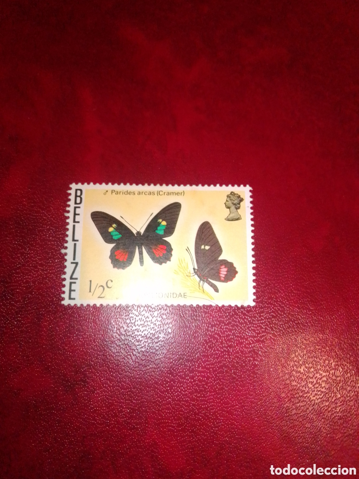 Sellos: Belize mariposas - Foto 1
