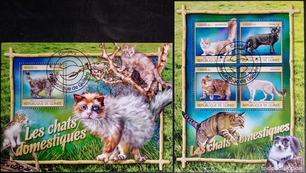 Sellos: GUINEA 2016 - HB GATOS . - Foto 1