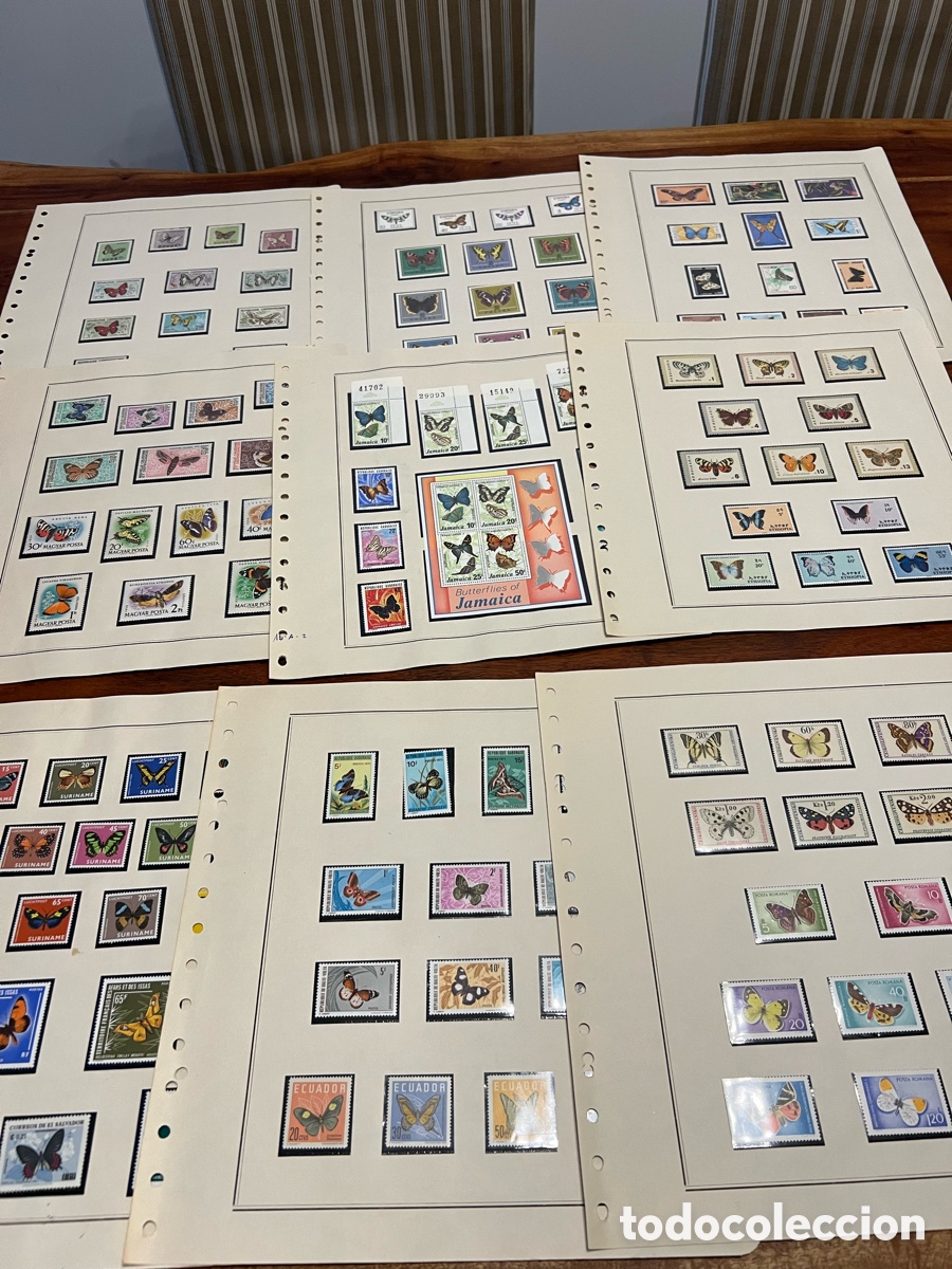 Sellos: Colecci&oacute;n sellos Mariposas - Foto 1