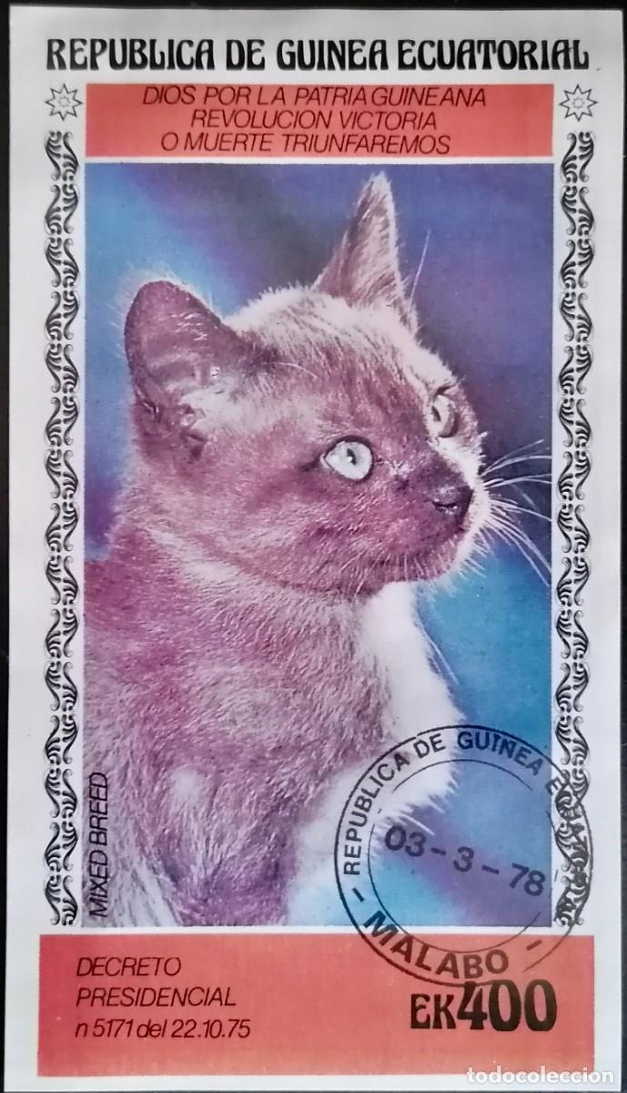 Sellos: GUINEA ECUATORIAL 1978 - HB GATO .- - Foto 1