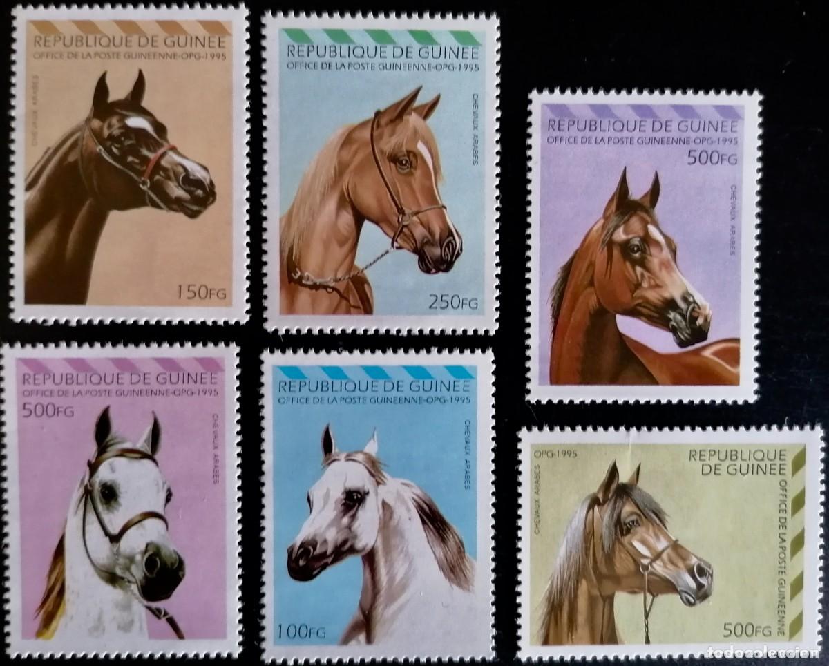 Sellos: GUINEA 1995 - CABALLOS . - Foto 1