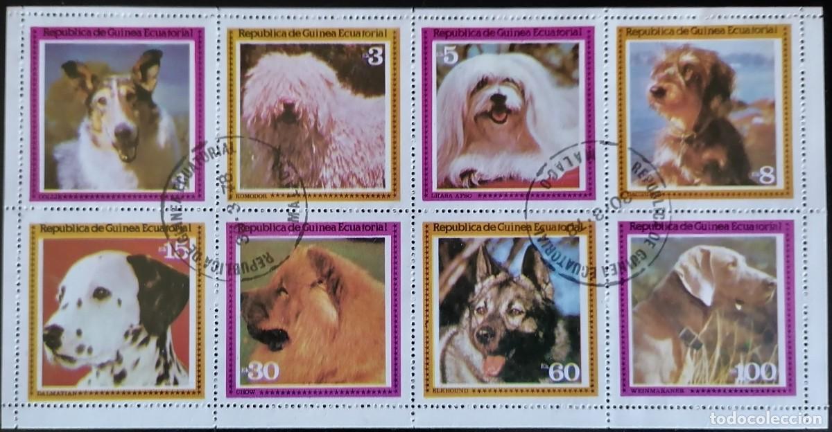 Sellos: GUINEA ECUATORIAL 1978 - HB PERROS . - Foto 1