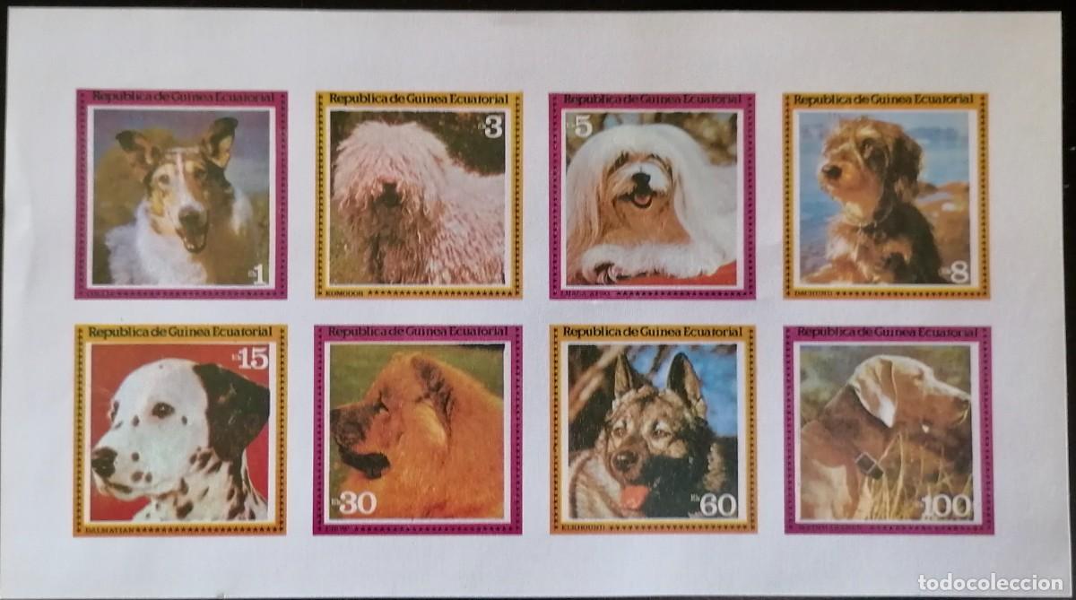 Sellos: GUINEA ECUATORIAL 1979 - HB PERROS = - Foto 1