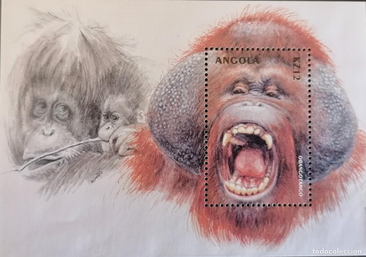 Sellos: ANGOLA 2000 - HB ORANGUT&Aacute;N DE BORNEO . - Foto 1
