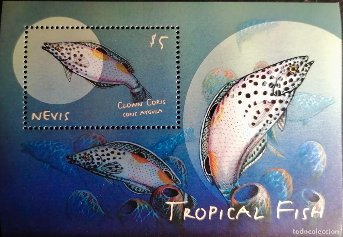 Sellos: NEVIS 2000 - HB PECES . - Foto 1