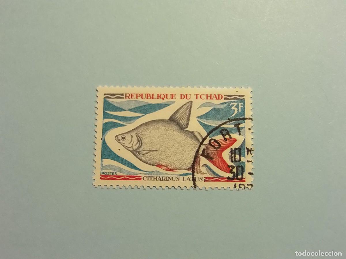 Sellos: CHAD - PECES - Citharinus latus. - Foto 1