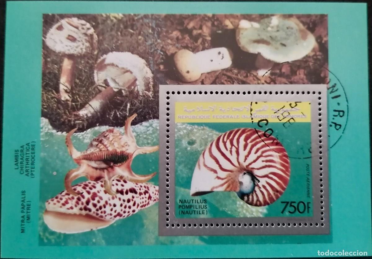 Sellos: COMORAS 1992 - HB NAUTILUS = - Foto 1