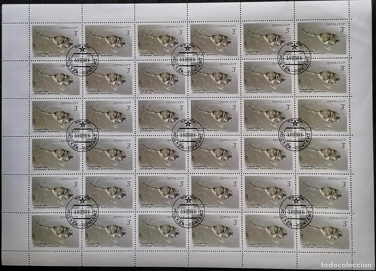 Sellos: URSS 1985 - HB GERBO . - Foto 1