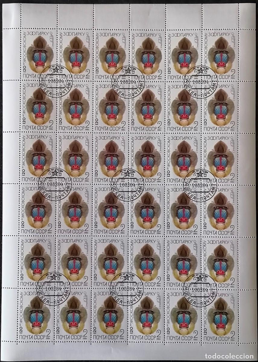 Sellos: URSS 1984 - HB MANDRIL . - Foto 1
