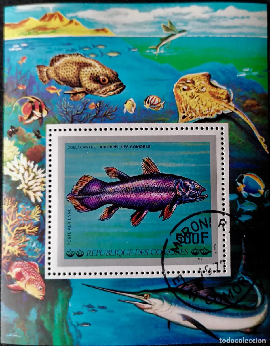 Sellos: COMORAS 1977 - HB COELACANTO . - Foto 1