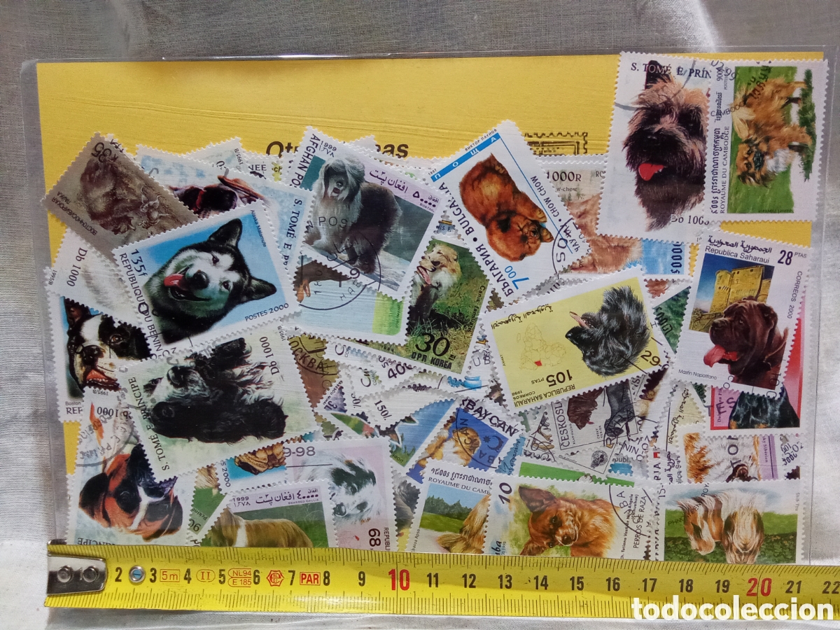 Sellos: CONJUNTO 100 SELLOS DE PERROS - Foto 2