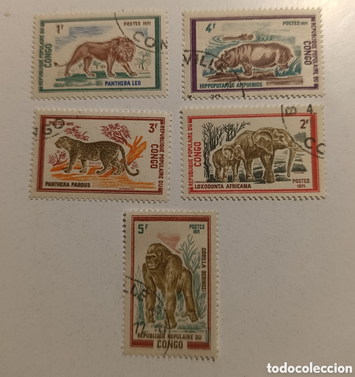 Sellos: CONGO sello animales a&ntilde;o 1971 - Foto 1