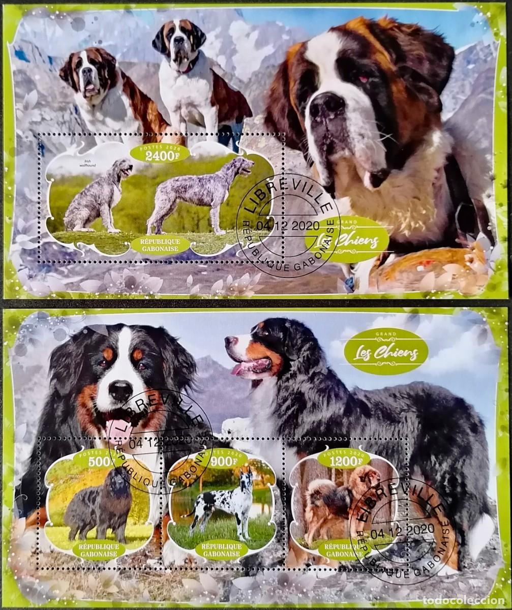Sellos: GABON 2020 - 2 HB RAZAS CANINAS . - Foto 1
