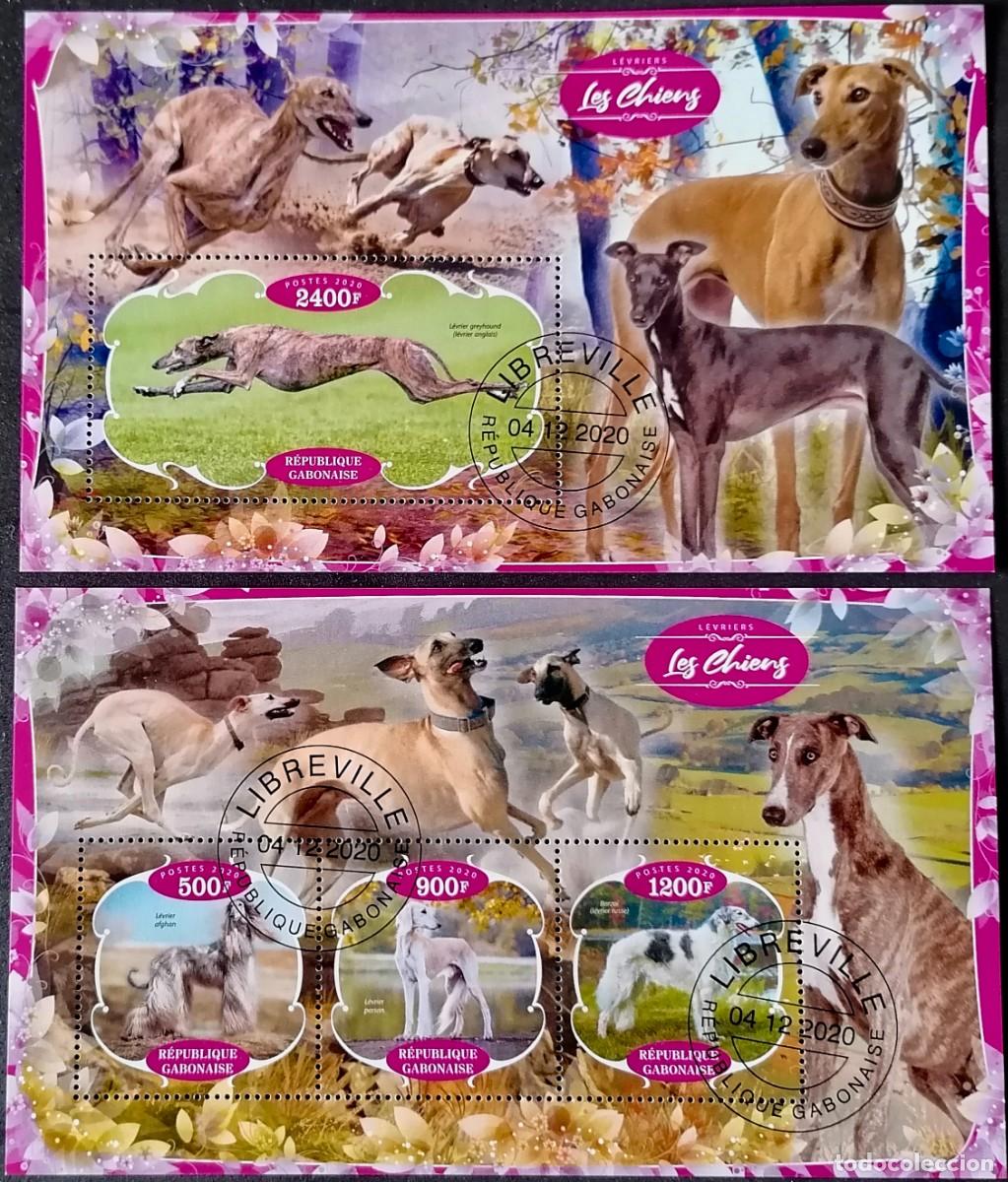 Sellos: GABON 2020 - 2 HB RAZAS CANINAS . - Foto 1