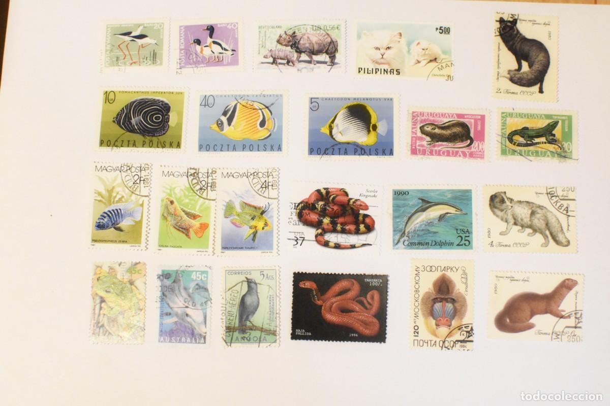Sellos: -22 sellos -Tema fauna- - Foto 1