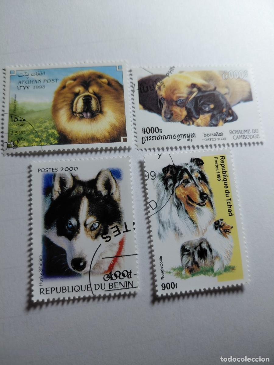 Sellos: SELLOS - LOTE 13 - PERROS - Foto 1