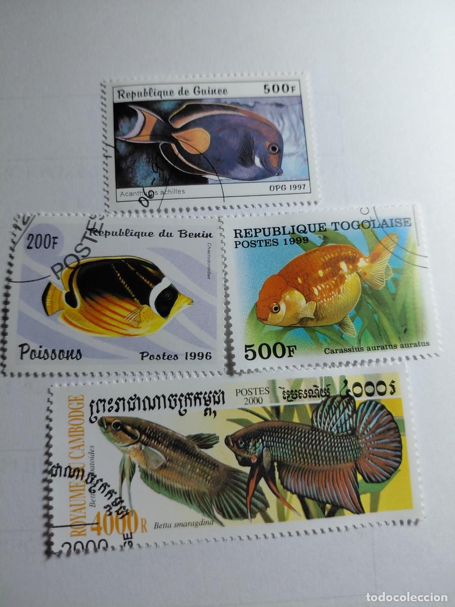 Sellos: SELLOS - LOTE 20 - PECES - Foto 1