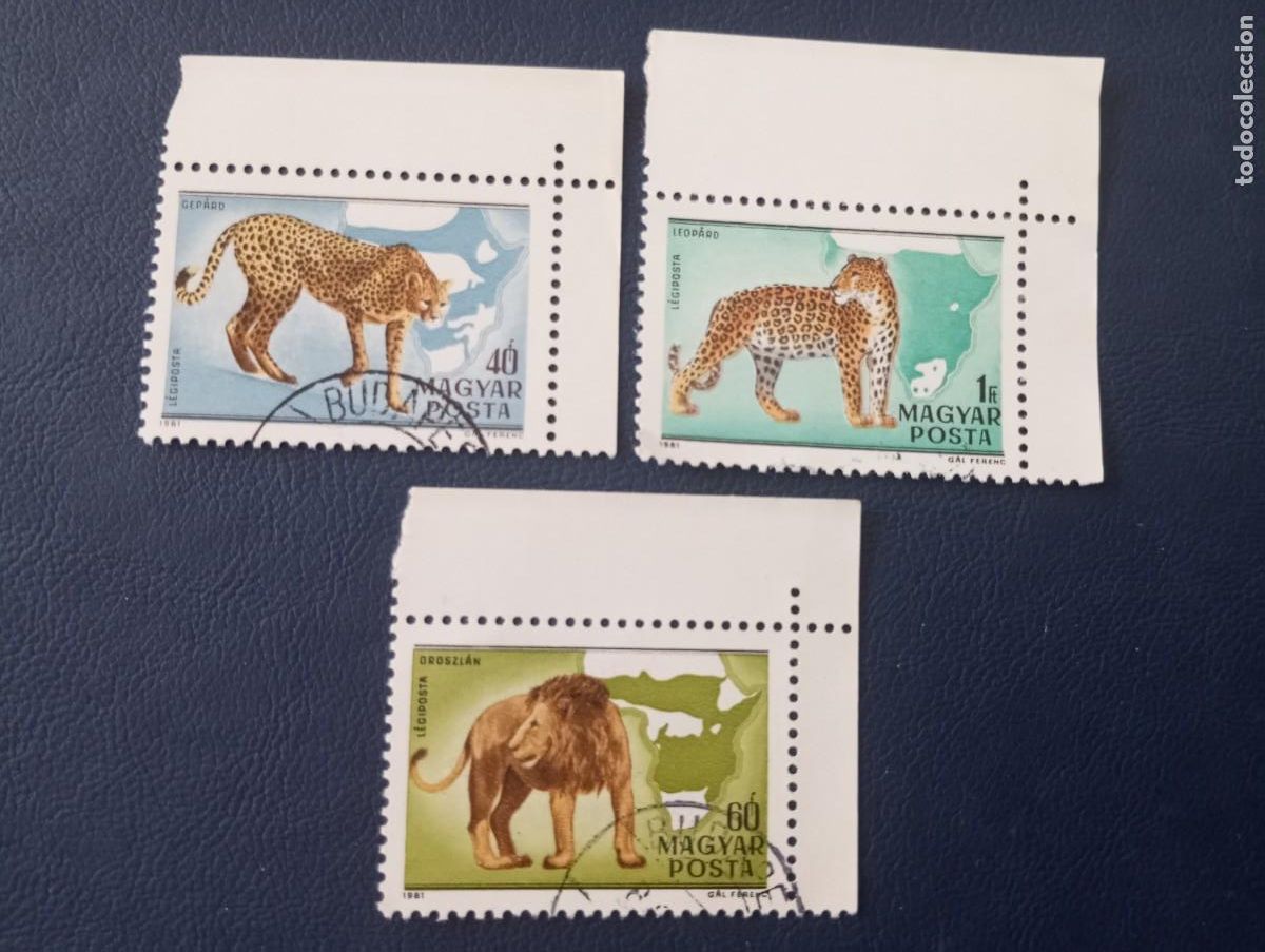 Timbres: FAUNA, FELINOS AFRICANOS, SELLOS DE HUNGR&Iacute;A