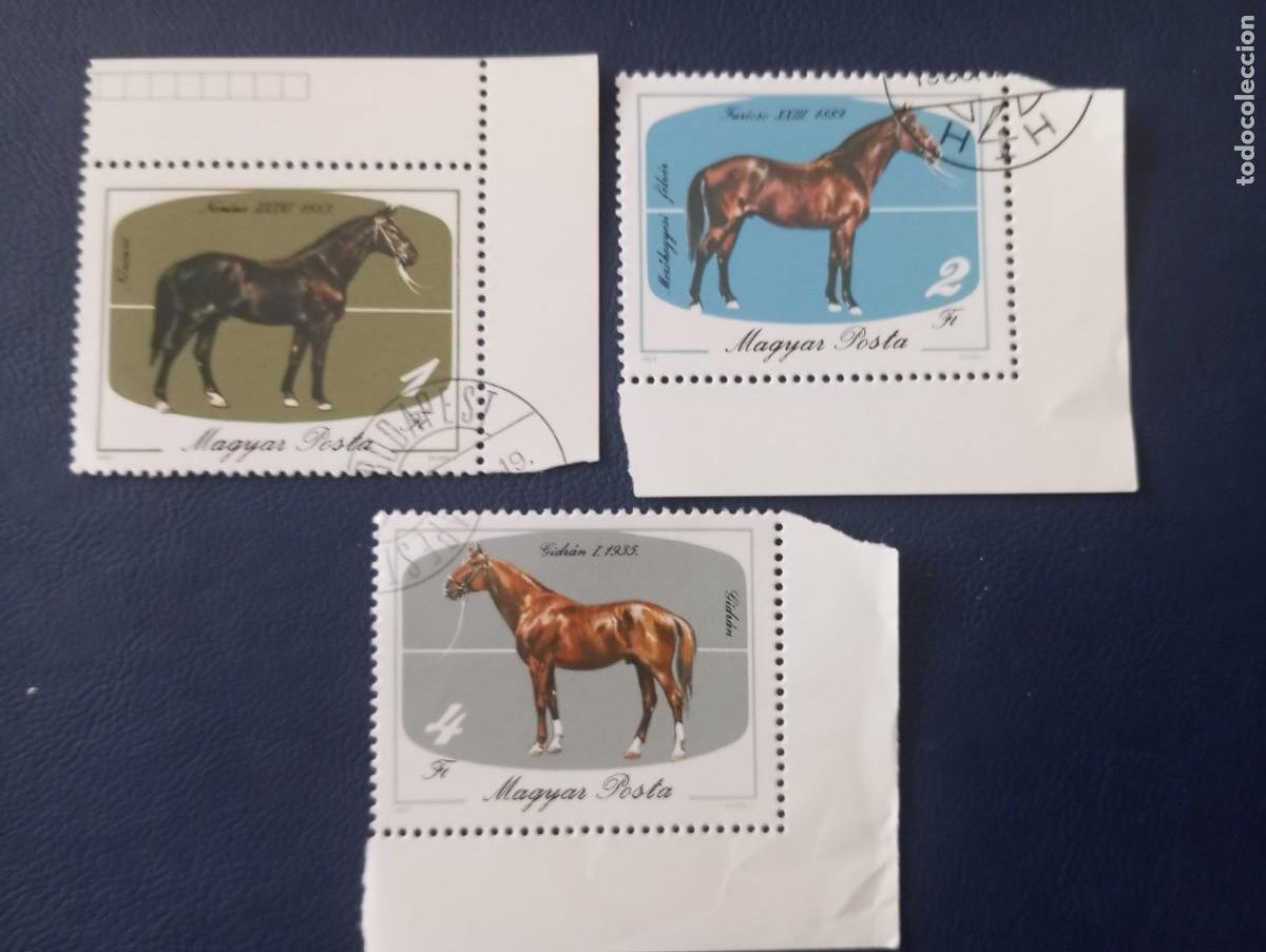 Sellos: FAUNA, CABALLOS, SELLOS DE HUNGR&Iacute;A - Foto 1