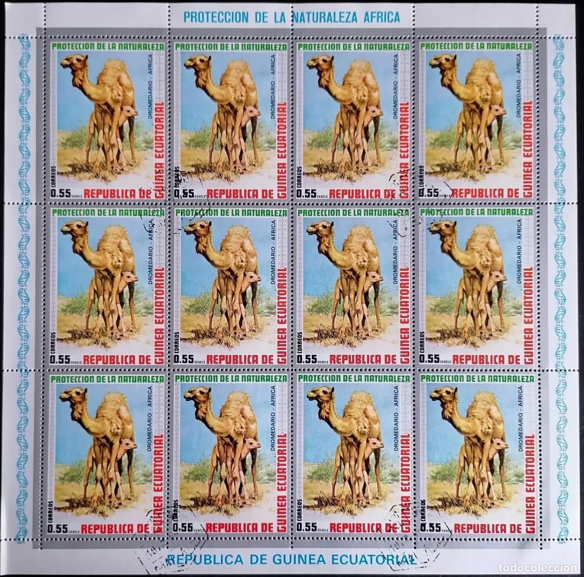 Sellos: GUINEA ECUATORIAL 1974 - HB DROMEDARIOS - Foto 1